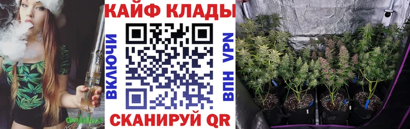 Бошки Шишки Вихоревка