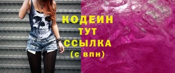 ешки Снежногорск
