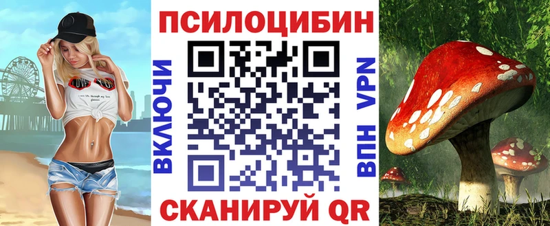 Галлюциногенные грибы прущие грибы  OMG ONION  Вихоревка 